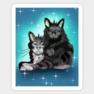 Maine Coon cat brothers with blue eyes Sticker